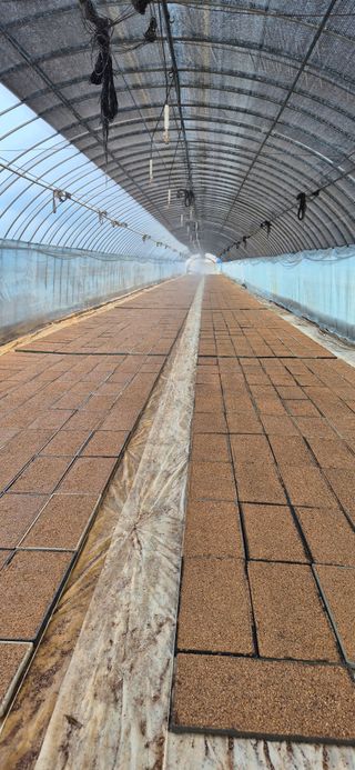 미노님의 기타작물 · 영농일지 작성글 사진