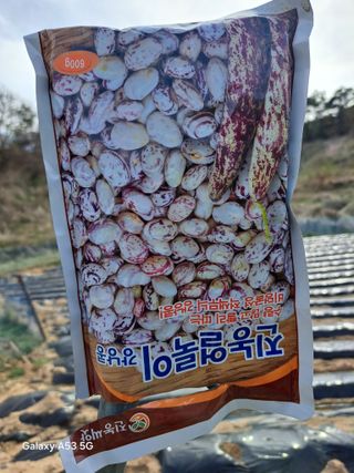 조연만님의 콩 · 영농일지 작성글 사진