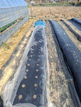 백영호님의 작성글 사진