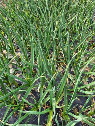 임재현님의 작성글 사진