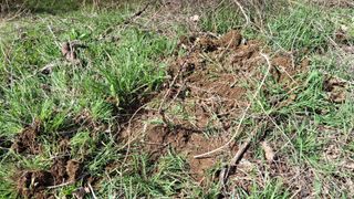 수기님의 기타작물 · 영농일지 작성글 사진