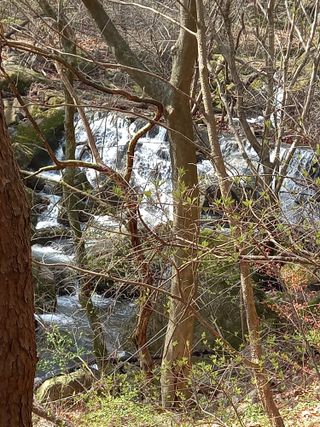 전진욱님의 기타작물 · 영농일지 작성글 사진