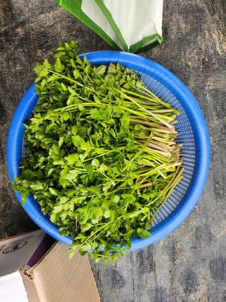 김진영님님의 콩 · 영농일지 작성글 사진