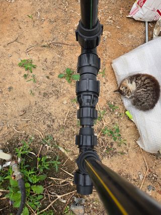 I am 조익성님의 포도 · 영농일지 작성글 사진