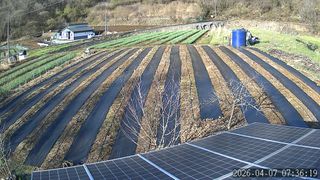 고구마19328님의 기타작물 · 영농일지 작성글 사진