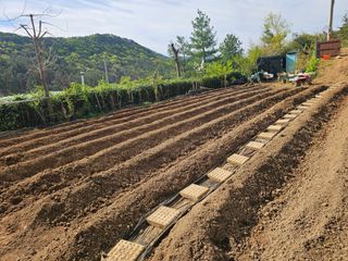 연모 자연의행복님의 기타작물 · 영농일지 작성글 사진