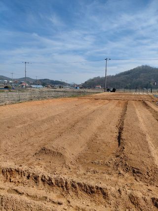 온바위님의 고추 · 영농일지 작성글 사진