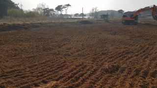 심상화님의 기타작물 · 영농일지 작성글 사진