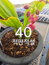 이성규 님의 작성글 사진