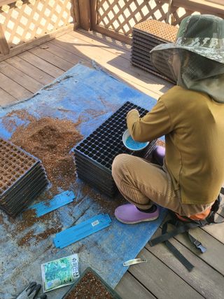 이상욱님의 참깨 · 영농일지 작성글 사진