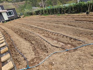 연모 자연의행복님의 기타작물 · 영농일지 작성글 사진