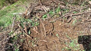 수기님의 기타작물 · 영농일지 작성글 사진