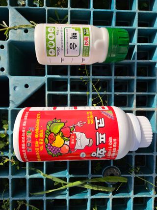 장산님의 작성글 사진