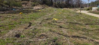 한내님의 호박 · 영농일지 작성글 사진