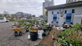 최강K님의 기타작물 · 영농일지 작성글 사진