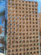 이상욱님의 작성글 사진