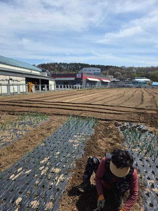 뚜벅이님의 작성글 사진