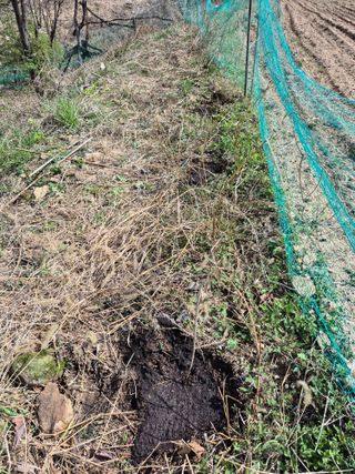 엉뚱님의 기타작물 · 영농일지 작성글 사진