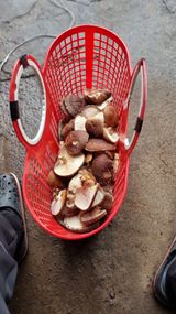 김동명님의 작성글 사진