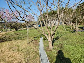 키다리님의 작성글 사진