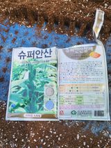 팜모닝 참깨·영농일지 게시글 이미지