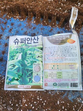 이상욱님의 참깨 · 영농일지 작성글 사진