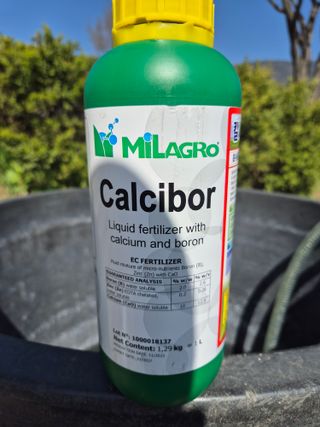 조성민님의 고추 · 영농일지 작성글 사진