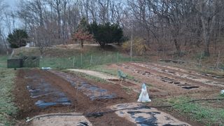 서초농원님의 작성글 사진