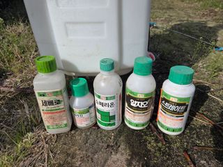 정영석님의 복숭아 · 영농일지 작성글 사진