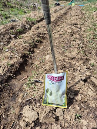 엉뚱님의 기타작물 · 영농일지 작성글 사진