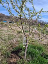 이병찬님의 작성글 사진