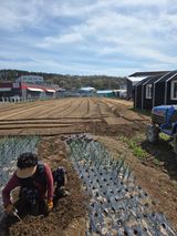 뚜벅이님의 작성글 사진