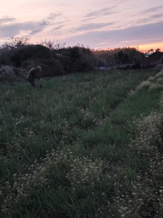 낙엽교목류22209님의 파 · 영농일지 작성글 사진