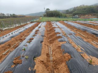 이용찬 열매마농원님의 기타작물 · 영농일지 작성글 사진