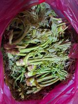 자연같이님의 작성글 사진