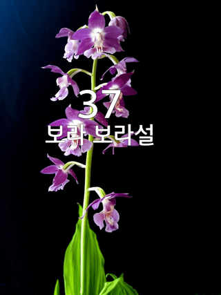 이성규 님의 기타작물 · 영농일지 작성글 사진