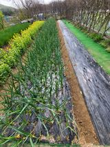 늘찬님의 작성글 사진