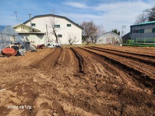 이덕재님의 기타작물 · 영농일지 작성글 사진