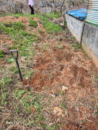 진문거사님의 기타작물 · 영농일지 작성글 사진