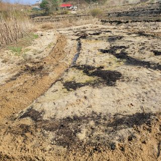 화려한이글님의 기타작물 · 영농일지 작성글 사진