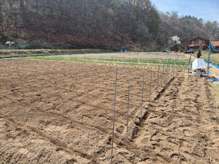 김기탁님의 기타작물 · 영농일지 작성글 사진