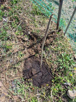 엉뚱님의 기타작물 · 영농일지 작성글 사진