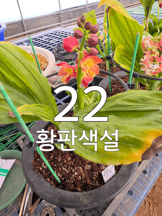 이성규 님의 기타작물 · 영농일지 작성글 사진