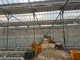 늘햇살팜 님의 작성글 사진