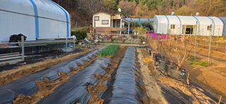 낙원101님의 기타작물 · 영농일지 작성글 사진