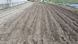 김동명님의 기타작물 · 영농일지 작성글 사진