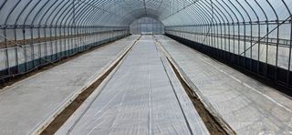 강연수님의 벼 · 영농일지 작성글 사진