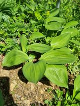 심기섭님의 작성글 사진