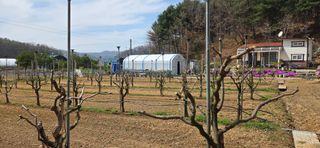 낙원101님의 기타작물 · 영농일지 작성글 사진