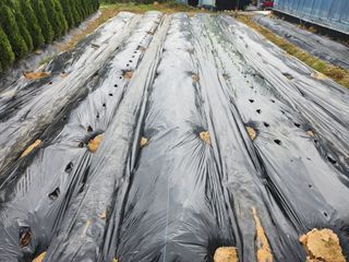 김진영님님의 작성글 사진